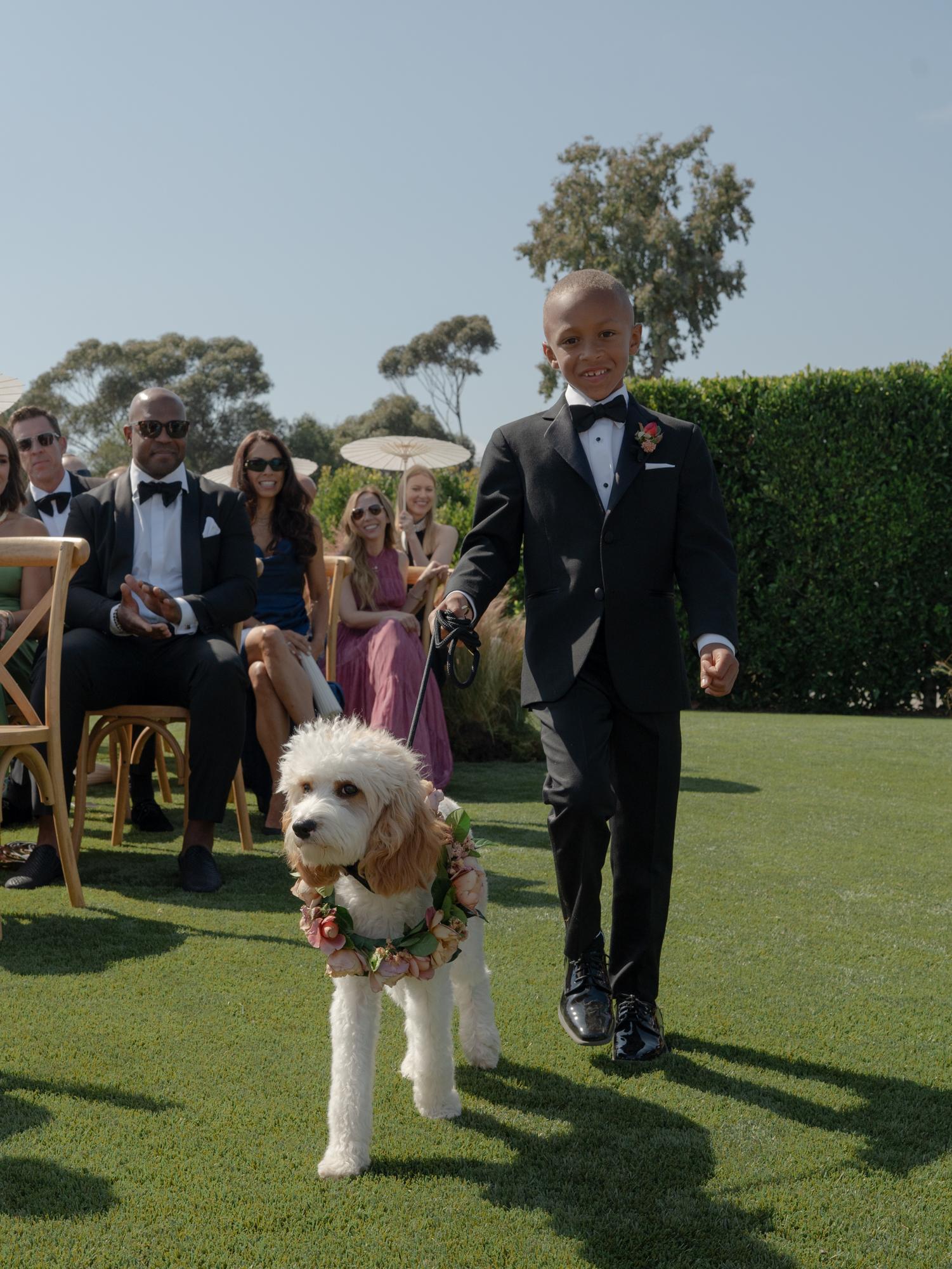 A boy in a tuxedo walks a dog wearing a floral collar down the aisle