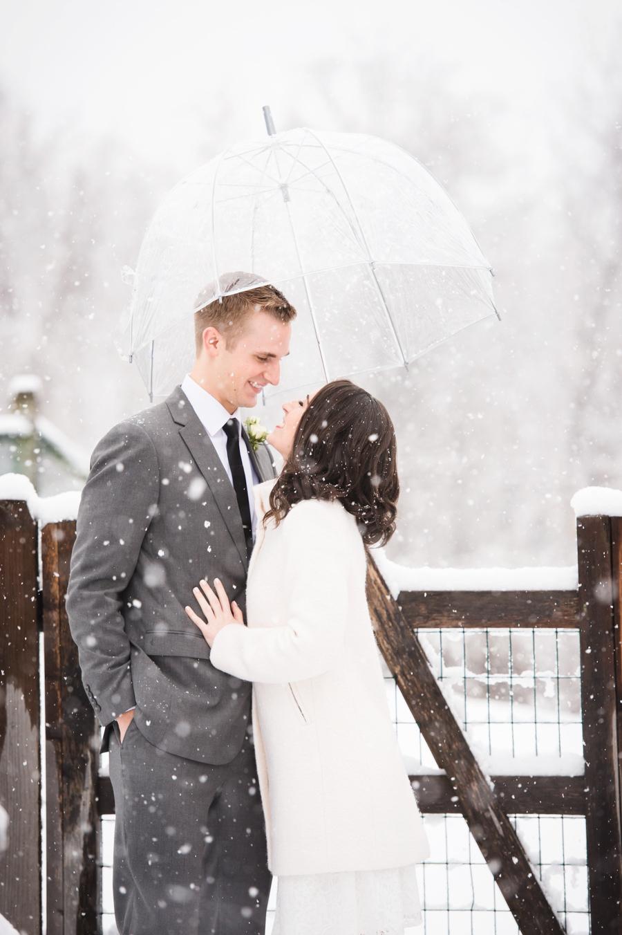 city hall winter wedding dress Intimate at Sep Clearance Size:US Size 14 Globes Red Carpet: Chic