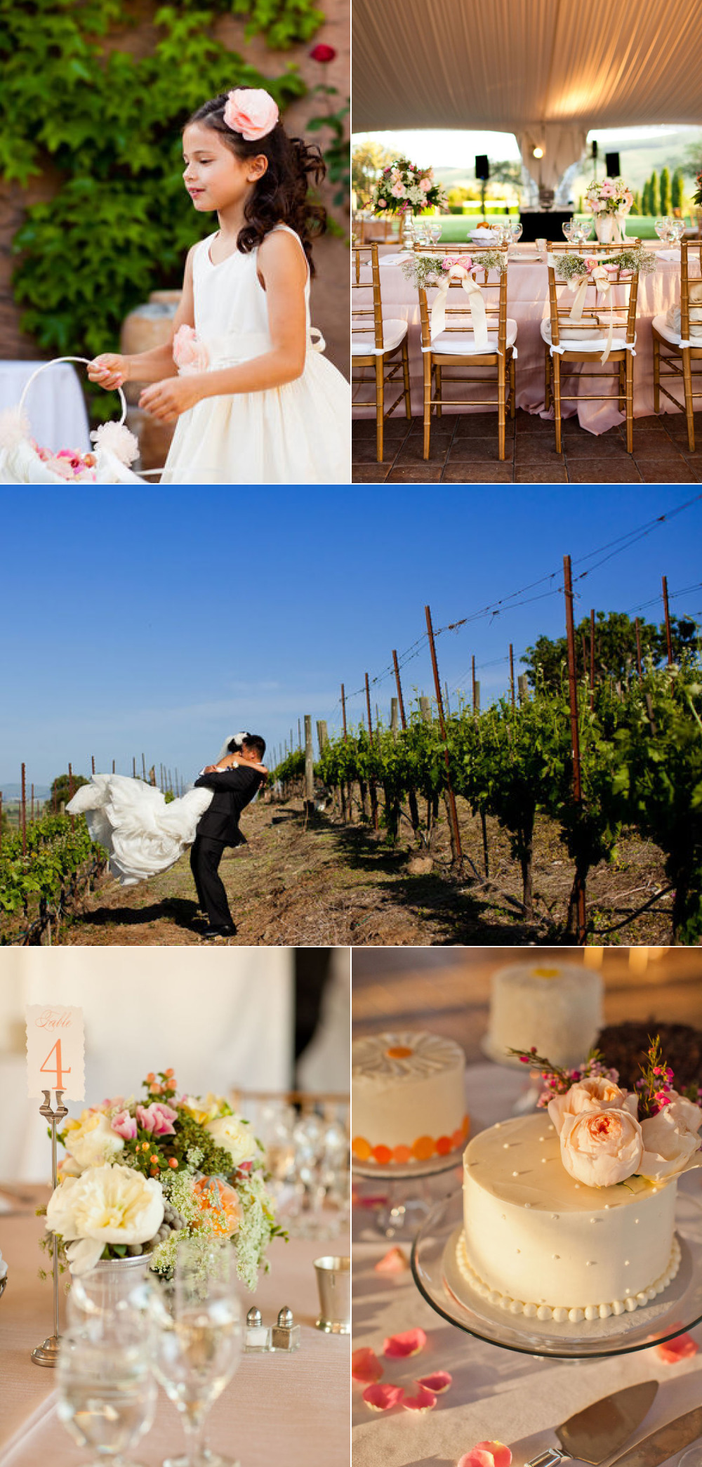 Winery Wedding 6