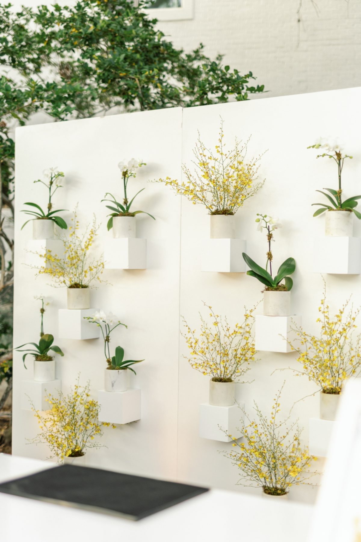 A Florida Takes New England Garden Wedding in a Beloved Grandmother’s Backyard
