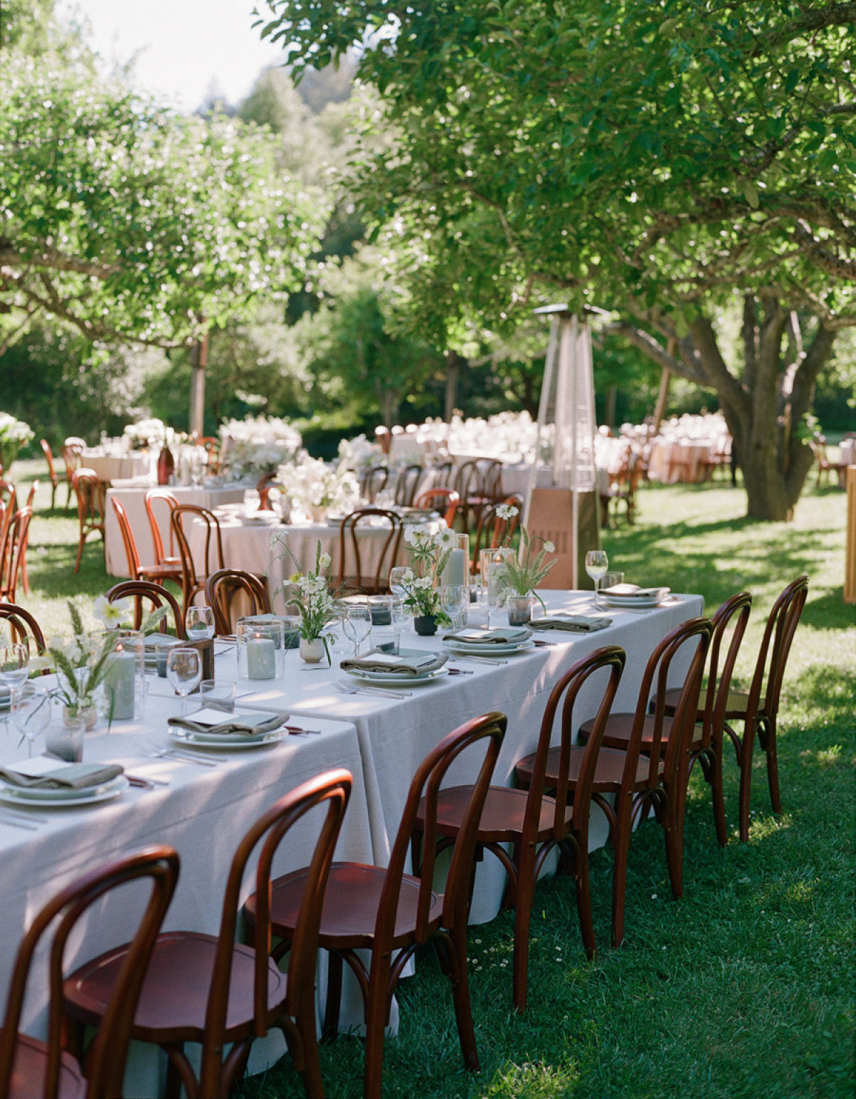 An Olive, Sage, and Soft Yellow Celebration Beneath the Redwoods at Dawn Ranch